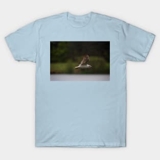 Gull flying in rain T-Shirt